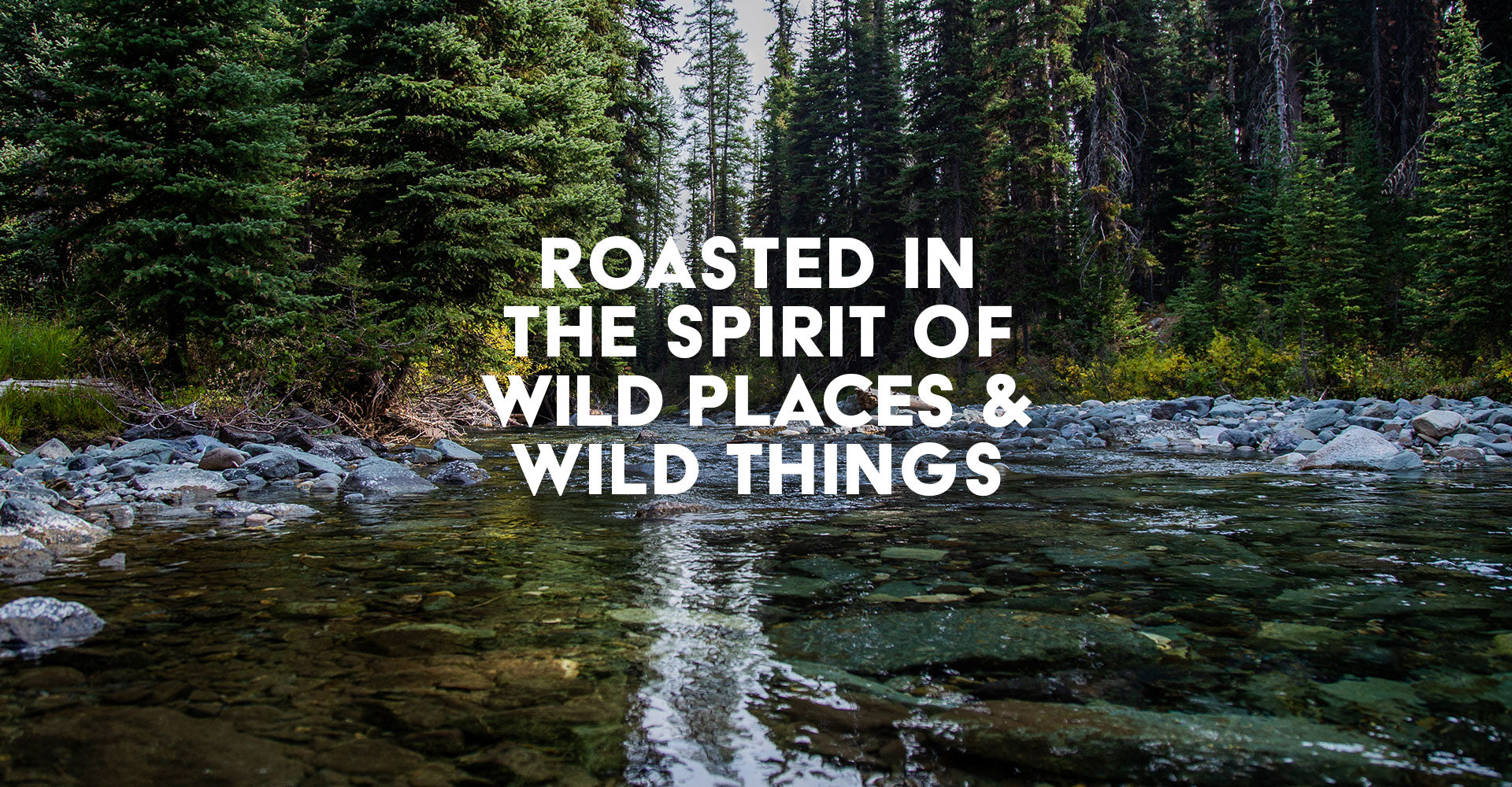 Wild Rivers Coffee Co